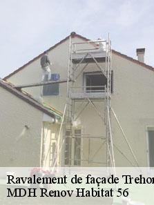 Ravalement de façade  56430