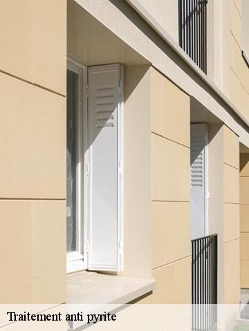 Traitement anti pyrite 56500