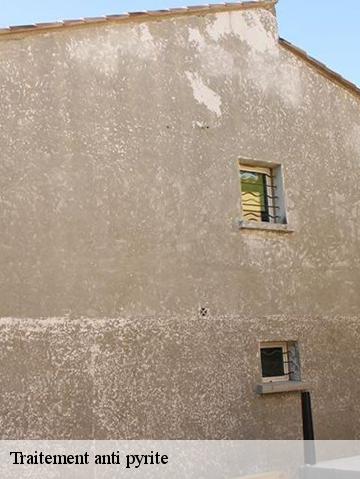 Traitement anti pyrite 56140