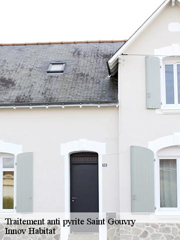 Traitement anti pyrite 56580