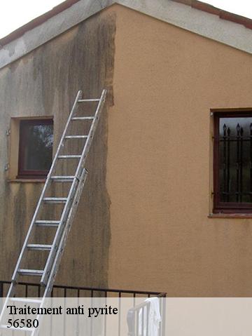 Traitement anti pyrite 56580