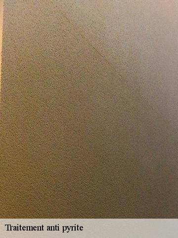 Traitement anti pyrite 56580