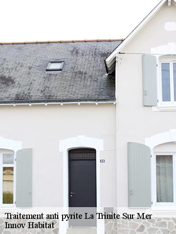 Traitement anti pyrite 56470