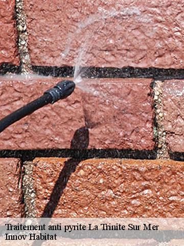 Traitement anti pyrite 56470
