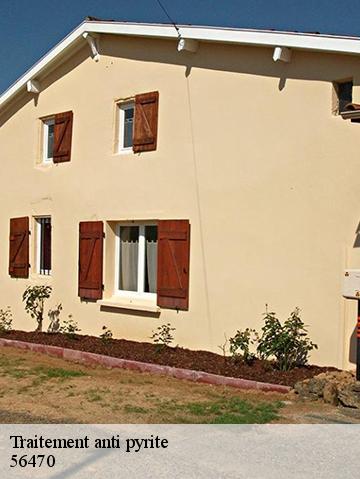 Traitement anti pyrite 56470