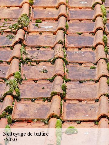 Nettoyage de toiture 56420