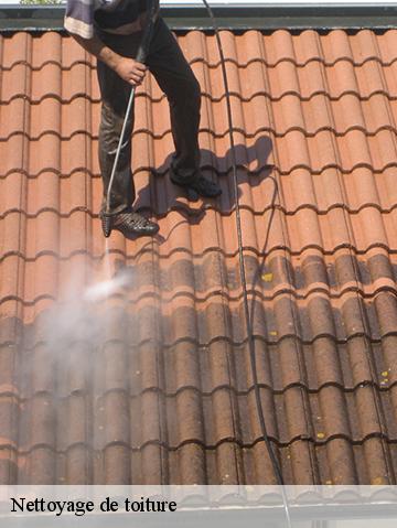 Nettoyage de toiture 56320
