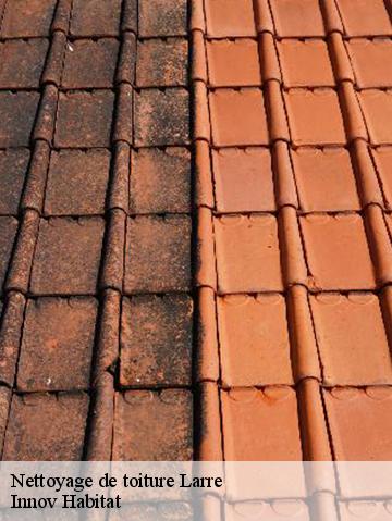 Nettoyage de toiture 56230