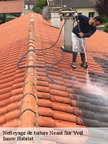 Nettoyage de toiture 56430