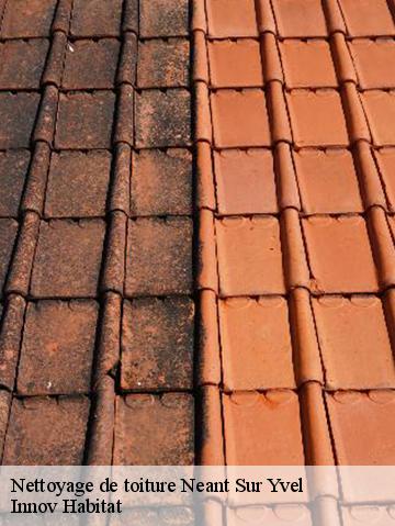 Nettoyage de toiture 56430