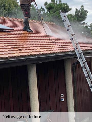 Nettoyage de toiture 56430