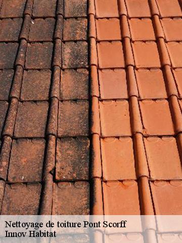 Nettoyage de toiture 56620