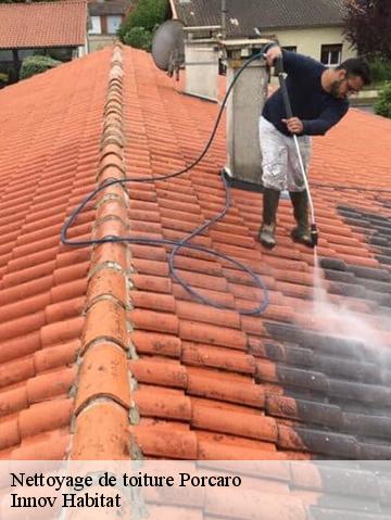 Nettoyage de toiture 56380