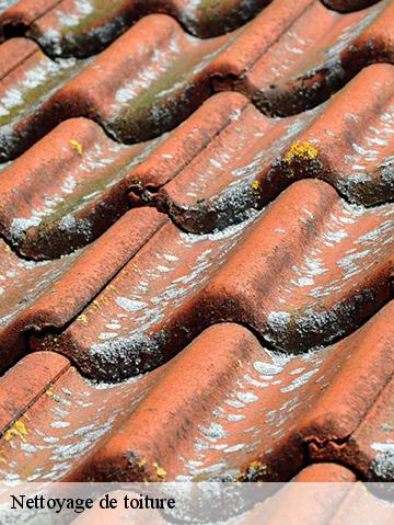 Nettoyage de toiture 56290