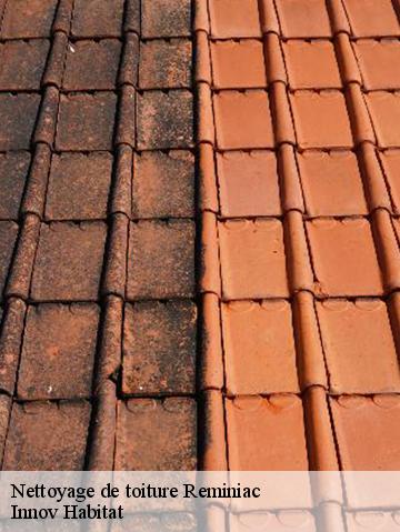 Nettoyage de toiture 56140