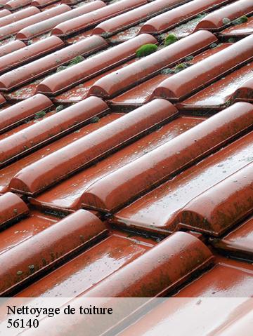 Nettoyage de toiture 56140