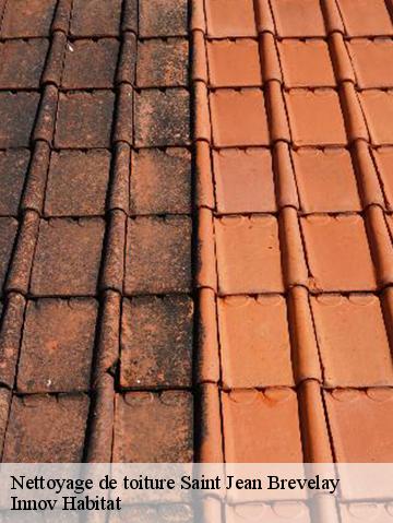 Nettoyage de toiture 56660