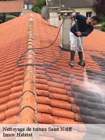 Nettoyage de toiture 56250