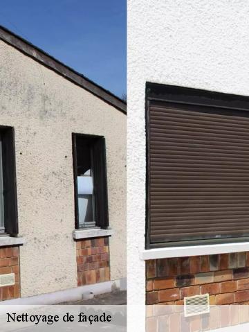 Nettoyage de façade 56350
