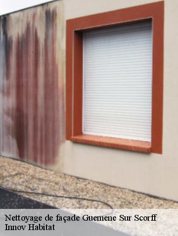 Nettoyage de façade 56160