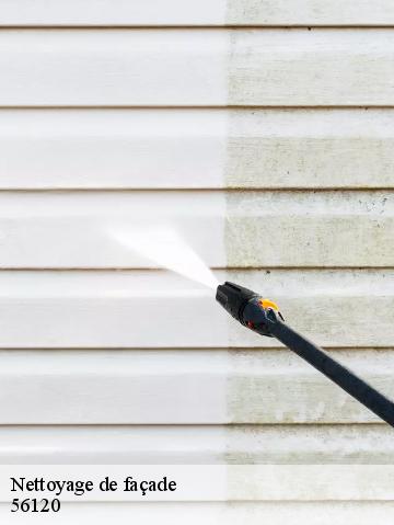 Nettoyage de façade 56120