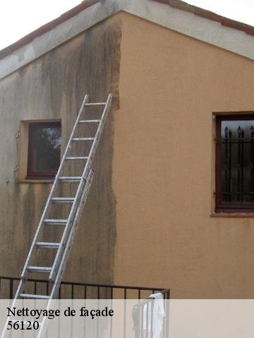 Nettoyage de façade 56120