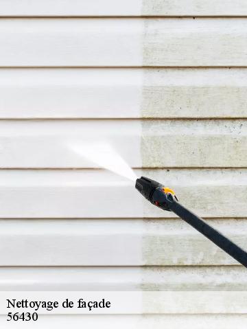 Nettoyage de façade 56430