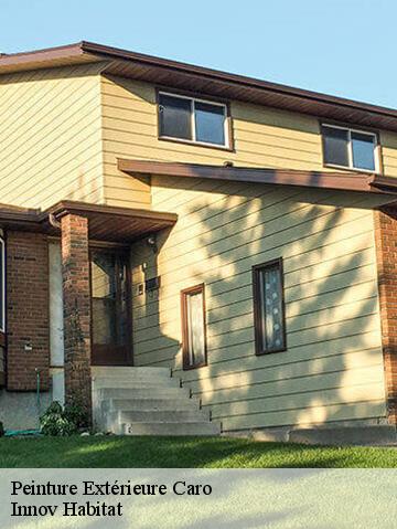 Peinture Extérieure 56140