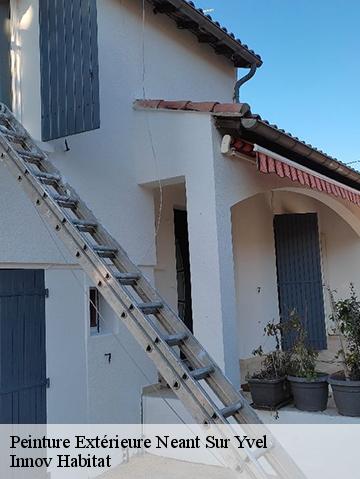 Peinture Extérieure 56430