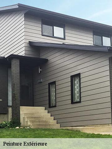 Peinture Extérieure 56680