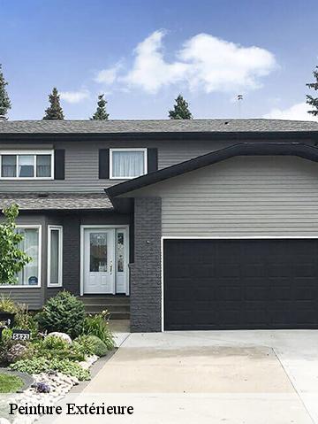 Peinture Extérieure 56680