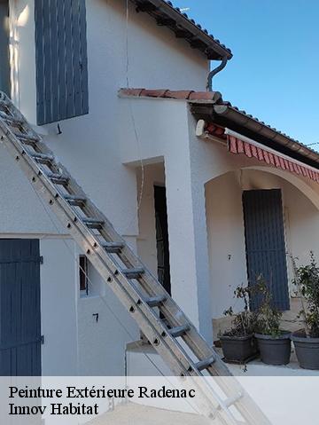 Peinture Extérieure 56500