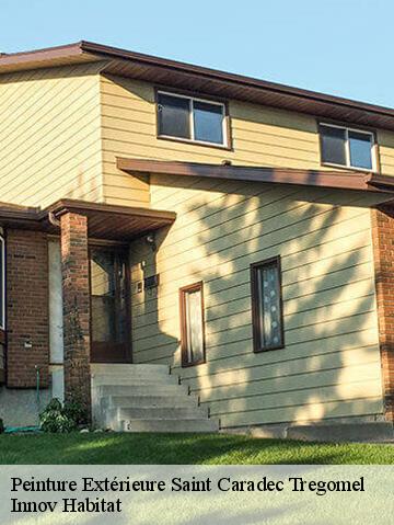 Peinture Extérieure 56540