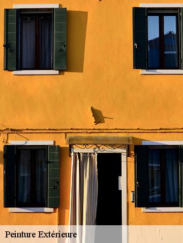 Peinture Extérieure 56540