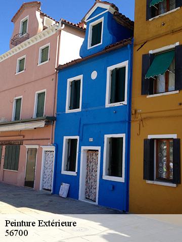 Peinture Extérieure 56700