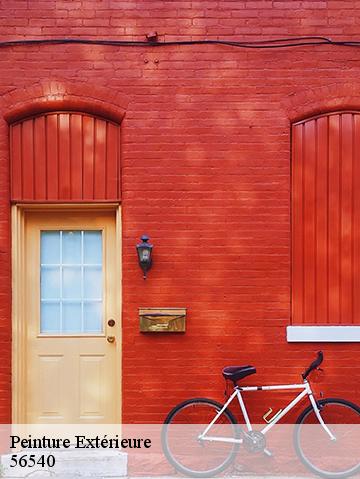 Peinture Extérieure 56540