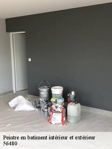 Peintre en batiment intérieur et extérieur 56480
