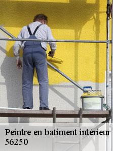 Peintre en batiment intérieur et extérieur  56250