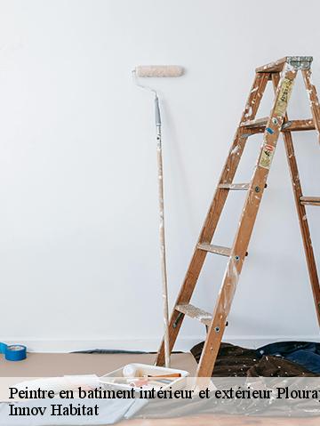 Peintre en batiment intérieur et extérieur 56770