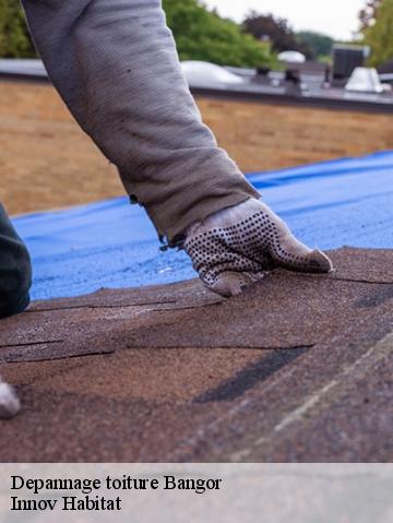 Depannage toiture 56360