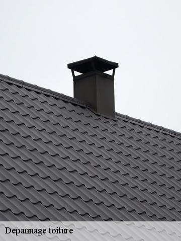 Depannage toiture 56250