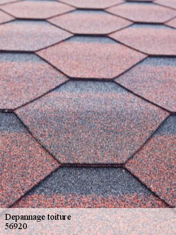 Depannage toiture 56920