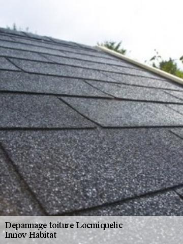 Depannage toiture 56570