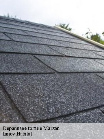 Depannage toiture 56130