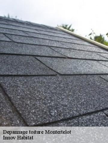 Depannage toiture 56800