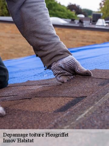 Depannage toiture 56120