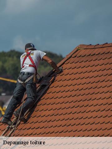 Depannage toiture 56320