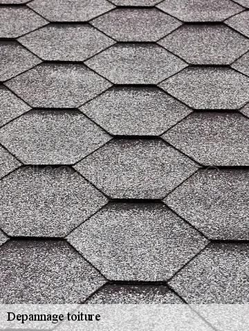Depannage toiture 56500
