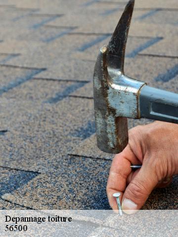 Depannage toiture 56500