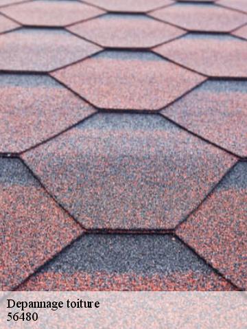 Depannage toiture 56480